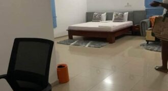 Fully furnished apartment for rent