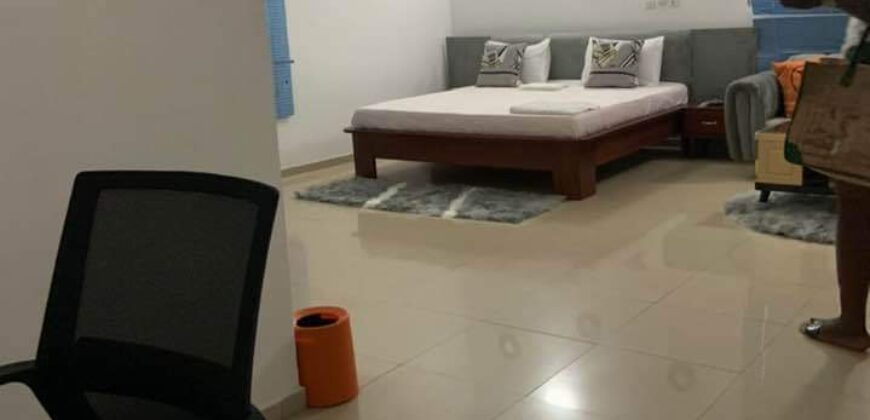 Fully furnished apartment for rent