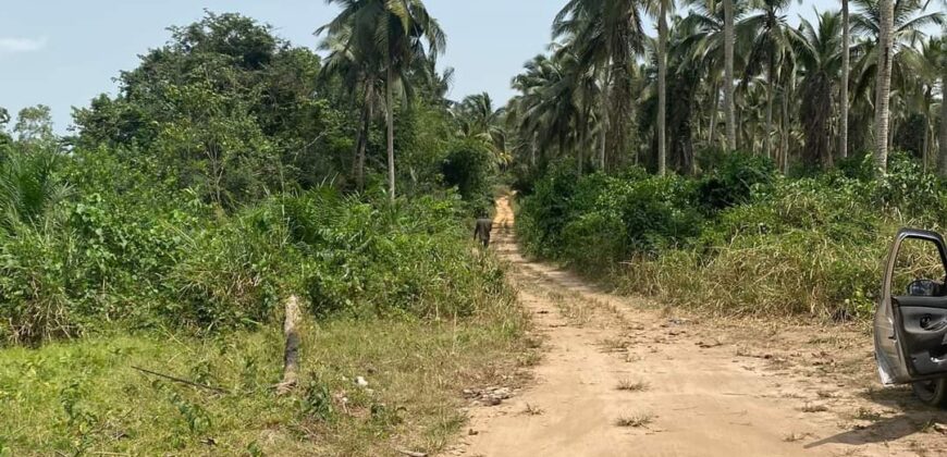 Disponible un très beau site de 112 hectares à bingerville akandjé En bordure de la lagune et juste à côté du site on a une promotion immobilière 