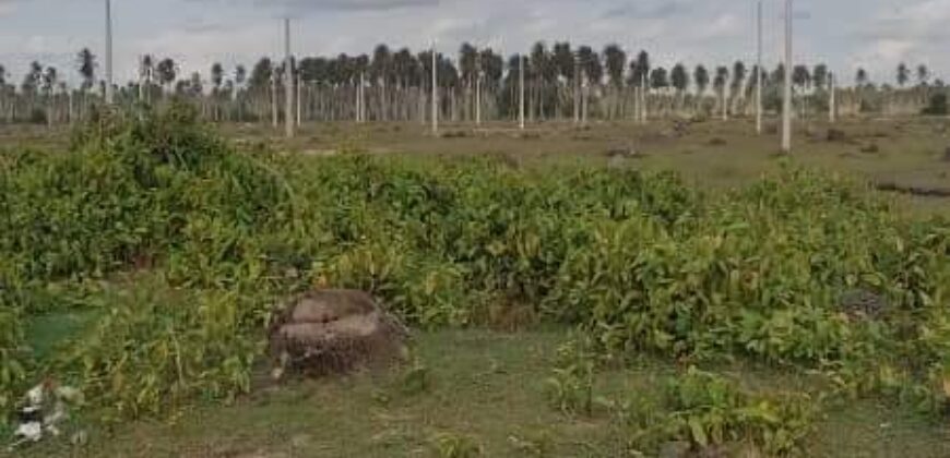 Vente de plusieurs lots avec ACD à PORT BOUET côté lagunaire route de Bassam à proximité du site de Côte d’Ivoire Énergie 