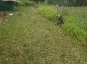 Land for sale at Ivory coast