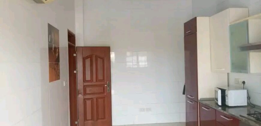 Exexutive 3Bedroom apartment @ Okponglo